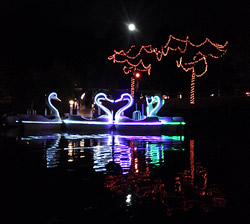 Illuminated Swan Paddleboat Rides
